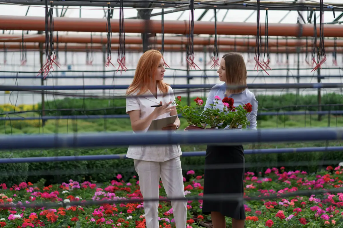 Sebenarnya Apa Fungsi Utama Greenhouse Buat Anggrek?